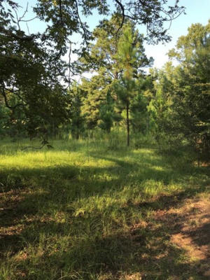 0 LEE RD 243, SMITHS STATION, AL 36877, photo 2 of 4